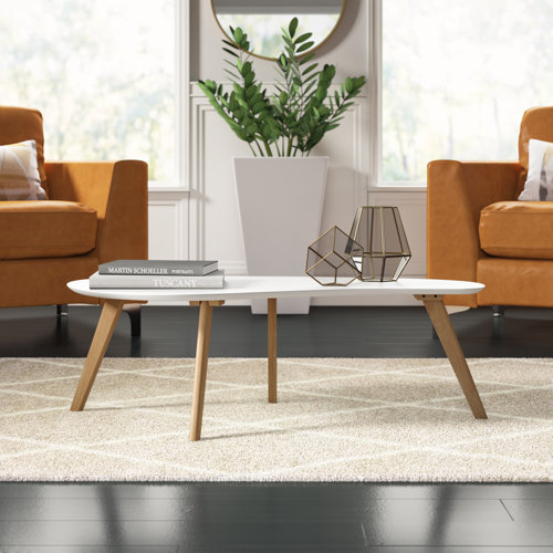 Wayfair White Coffee Tables You'll Love in 2023